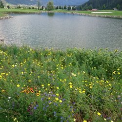 Golfclub Zillertal-Uderns