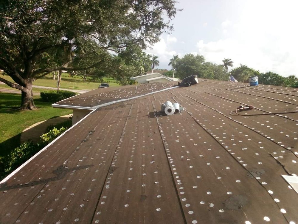 Slide of Tri-County Native