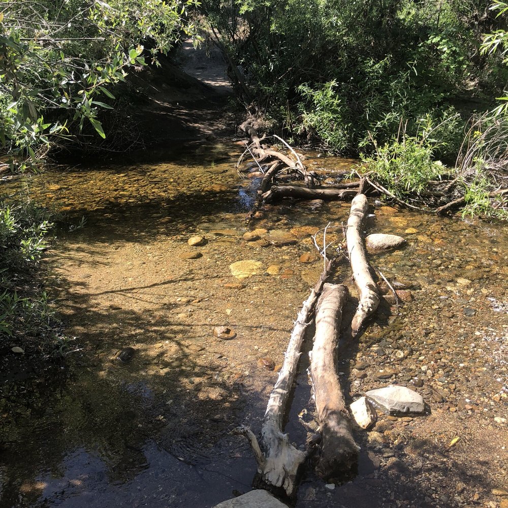 Cedar Creek Falls - First creek crossing (only branches) - Hiking Near Me - Ramona, California Cedar Creek Falls - First creek crossing (only branches) - Hiking Near Me - Ramona, California