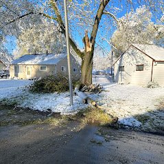 Better Than Affordable - tree service in Fort Wayne, IN