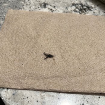 Hyatt Regency Greenville - Clump of hair found - Hotels Near Me - Greenville, South Carolina Hyatt Regency Greenville - Clump of hair found - Hotels Near Me - Greenville, South Carolina