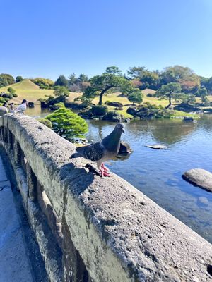 Suizenji Jojuen Garden by null