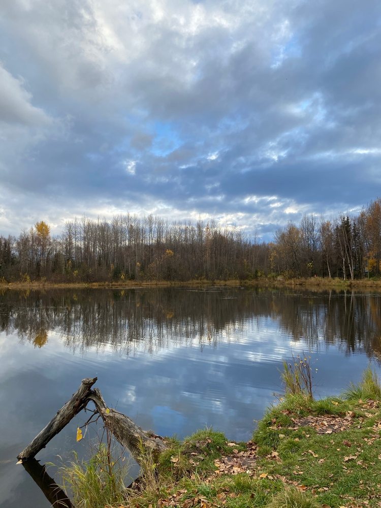 FOXWOOD CONDOMINIUMS 14 Photos 7401 Foxridge Way, Anchorage, AK Yelp