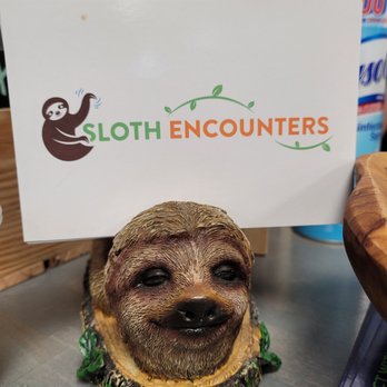 SLOTH ENCOUNTERS - Updated January 2025 - 83 Photos - 551 Veterans