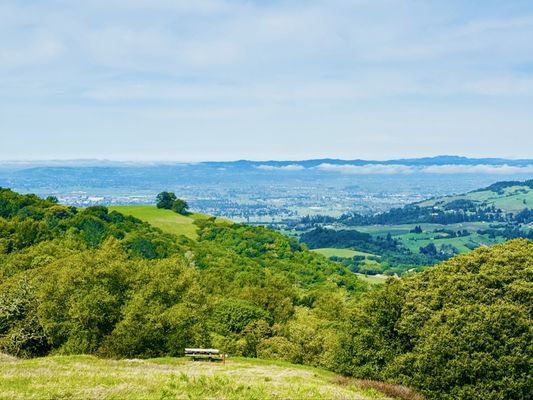 North Sonoma Mountain Regional Park by null