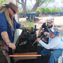 Up-potting