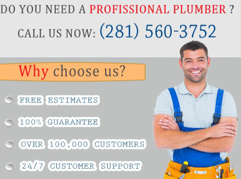 Plumber Webster Logo