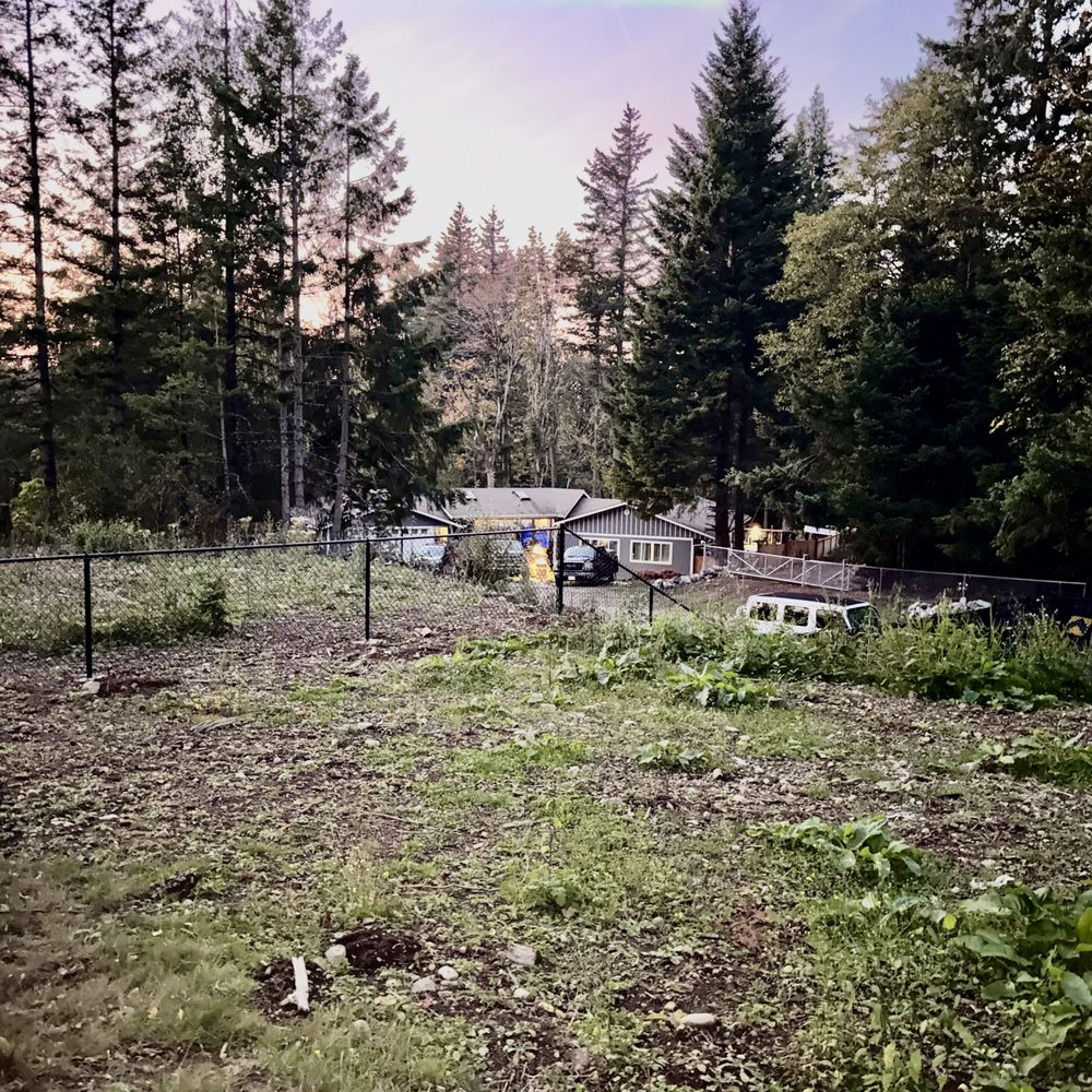Interactive Gates & Security - After: Was the chicken wire fence, now chain link - Fences & Gates Near Me - Bellevue, Washington