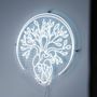 The Regenerative Wellness Clinic
