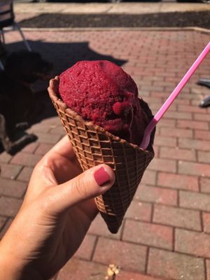 Nancy's Of Woodstock - Artisanal Creamery by null