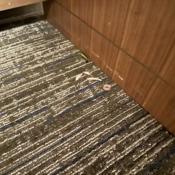 Embassy Suites by Hilton Chicago Downtown Magnificent Mile - Hotels Near Me - Chicago, Illinois