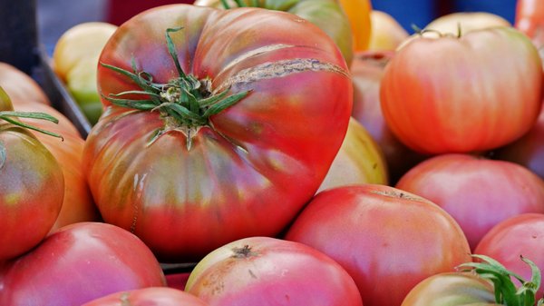 Hollywood Farmers Market by null