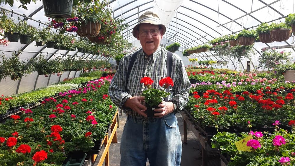 BOYNTON’S GREENHOUSES Updated October 2024 30 Photos 144 Madison