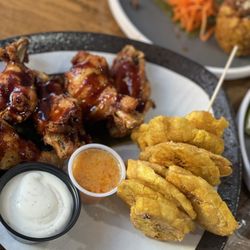 Aqua Wings & Tostones