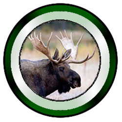 Moosehead Area Rentals - Moosehead Area Rentals, LLLP logo. Located in Rockwood, Maine on Moosehead Lake in Northern Maine.