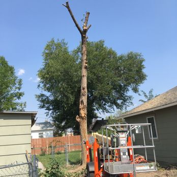Arbor Life Tree Service - Tree Services Near Me Arbor Life Tree Service - Tree Services Near Me