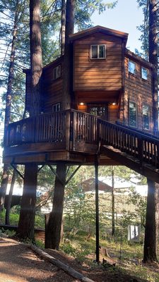 Vertical Horizons Treehouse Paradise by null