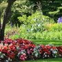 Photo of HARP Landscaping