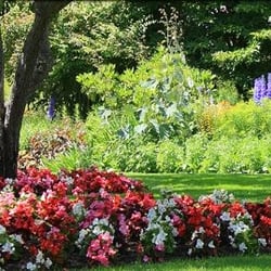 HARP Landscaping
