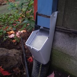 Vancouver Pest Solutions