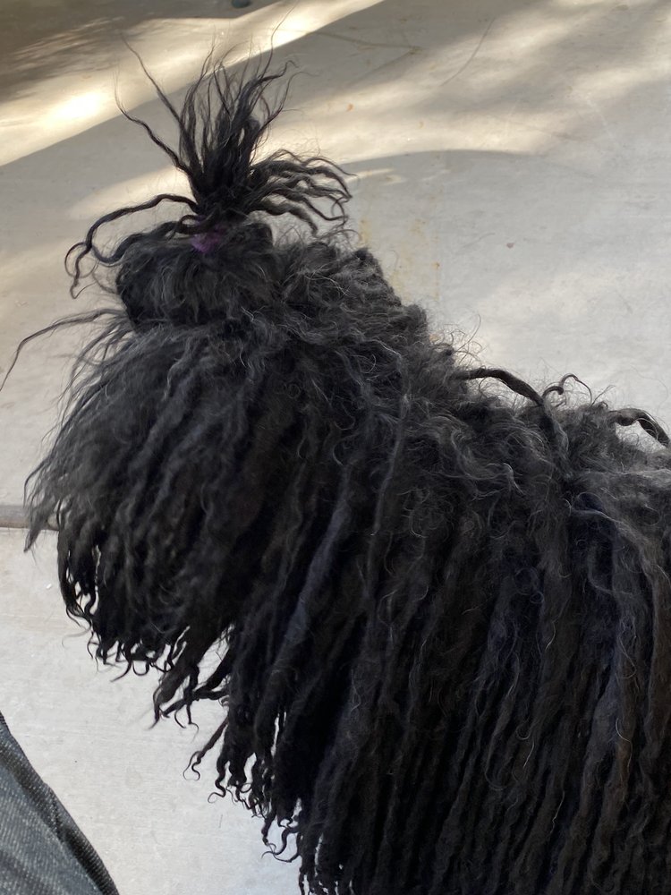 HAVEN ANIMAL HOSPITAL Veterinarians 2686 State Route 9, Ballston