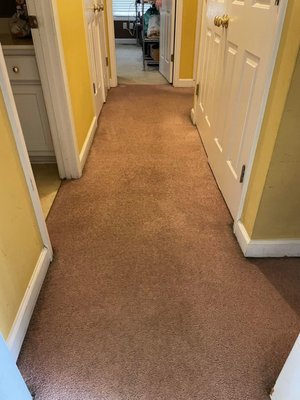 Carpet Cleaning - We can make your carpet look new again! Call now! Carpet Cleaning - We can make your carpet look new again! Call now!