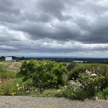 Cristom Vineyards - Wineries Near Me - Salem, Oregon Cristom Vineyards - Wineries Near Me - Salem, Oregon
