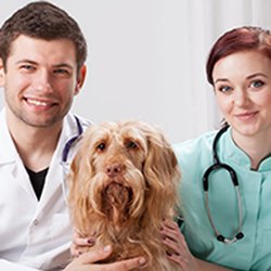 Prichard Animal Hospital