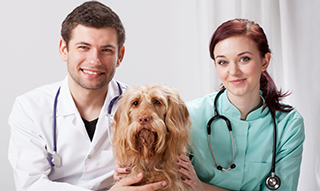 Prichard Animal Hospital - pet boarding facility in Haysville, KS