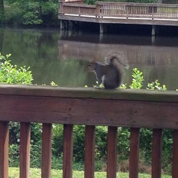Deep Run Park and Recreation Center - Parks Near Me - Henrico, Virginia Deep Run Park and Recreation Center - Parks Near Me - Henrico, Virginia