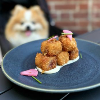 Pomet - Crispy Turnip Tots w/ xo sauce, chives, pickled daikon, shio koji mayo ($15) - GET THIS! - New American Near Me - Oakland, California Pomet - Crispy Turnip Tots w/ xo sauce, chives, pickled daikon, shio koji mayo ($15) - GET THIS! - New American Near Me - Oakland, California