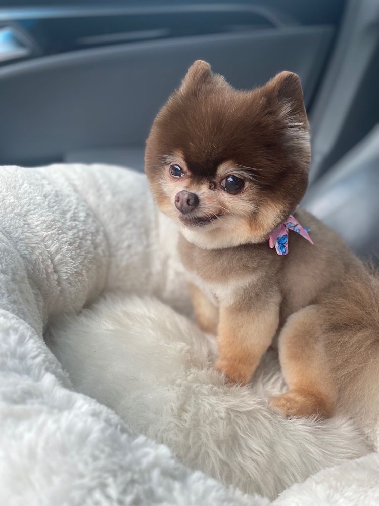 BATH BRUSH & BEYOND Updated July 2024 82 Photos & 62 Reviews