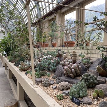 Garfield Park Conservatory - Parks Near Me - Chicago, Illinois