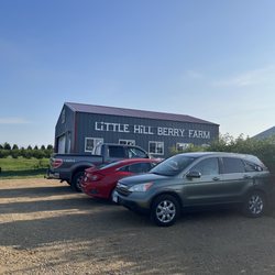 Little Hill Berry Farm - Their little store is great!