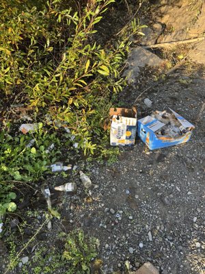 Wildhaven Sonoma Glamping by null