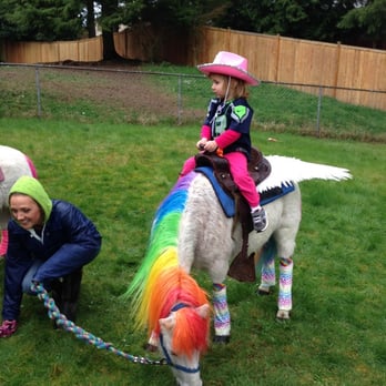 Dreamland Ponies - Party & Event Planning Near Me