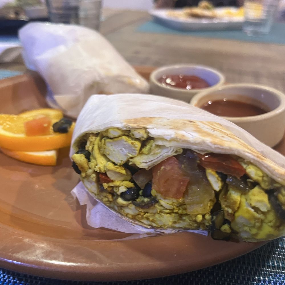 Green Zebra Cafe - Juice Bars & Smoothies Near Me - Sarasota, Florida Green Zebra Cafe - Juice Bars & Smoothies Near Me - Sarasota, Florida