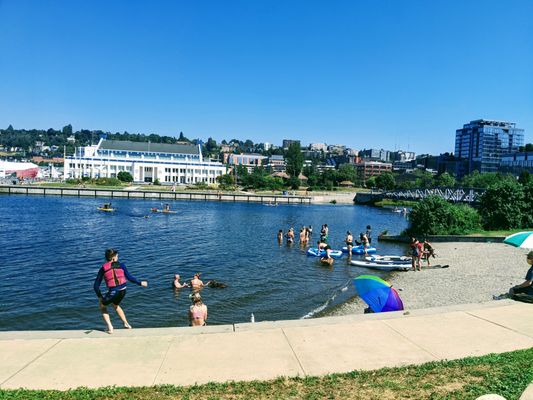 Lake Union Park by null