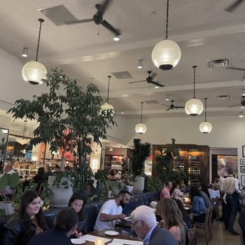 Olive + Oak - Awesome inside! - Wine Bars Near Me - Saint Louis, Missouri Olive + Oak - Awesome inside! - Wine Bars Near Me - Saint Louis, Missouri