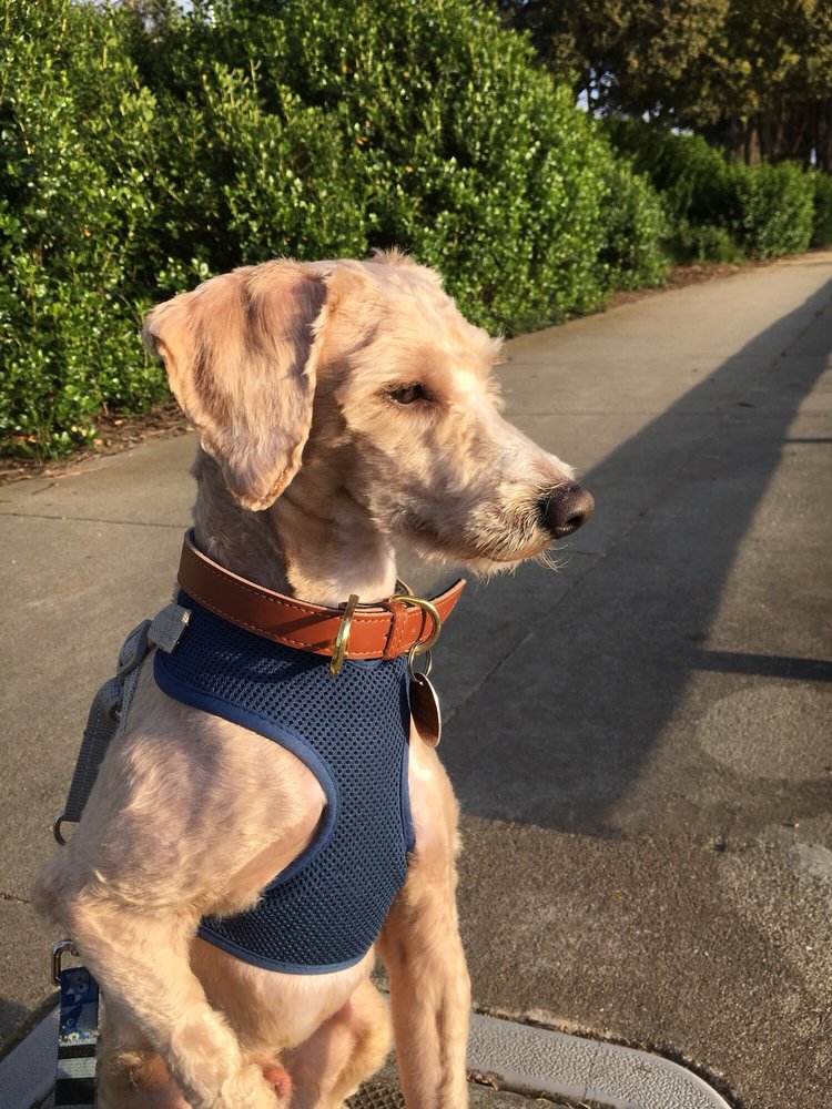 BRISBANE SKATE PARK Updated May 2024 7555 Park Ln, Brisbane