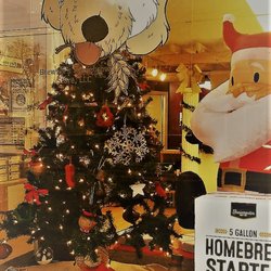 Brewser's Homebrew Store - Love the holiday decor at the store and the idea to gift a hobby for the holidays!