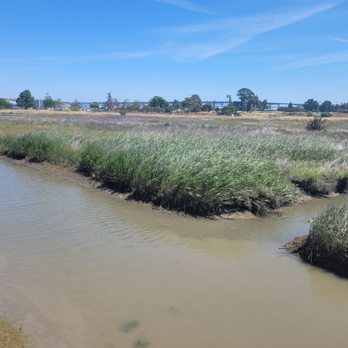 Radke Martinez Regional Shoreline - Parks Near Me - Martinez, California Radke Martinez Regional Shoreline - Parks Near Me - Martinez, California