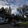 Photo of Jaguar Tree Care