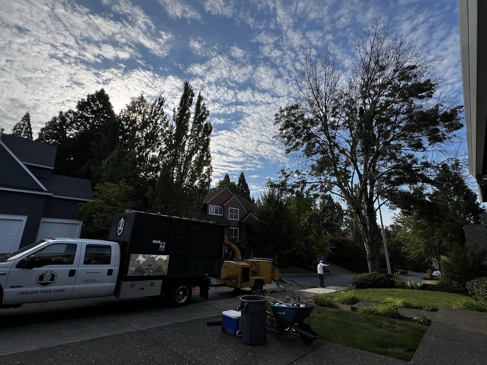 Jaguar Tree Care - tree service in Portland, OR