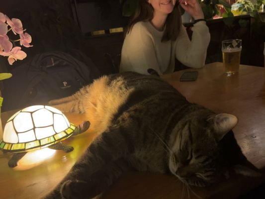 Leikam Brewing by null