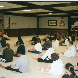 Aikido Nippon Kan