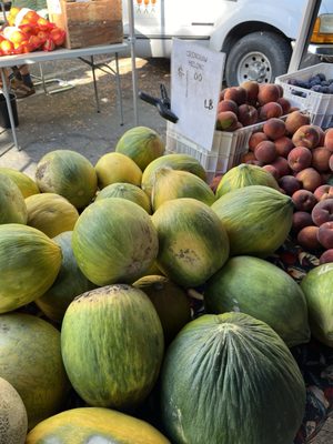 Chico Certified Farmers Market by null
