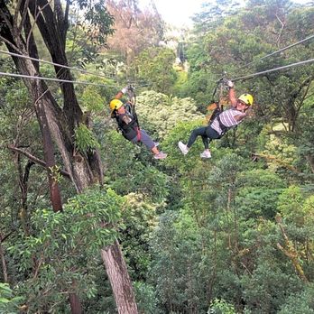 Kohala Zipline - Tours Near Me - Hawi, Hawaii Kohala Zipline - Tours Near Me - Hawi, Hawaii