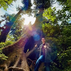 Cathedral Tree - Found the massive majestic Cathedral Tree! What a fun little hike!