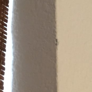 Mj Drapery - Drywall chips from the professional installation that now need repairs. - Interior Design Near Me - Flower Mound, Texas